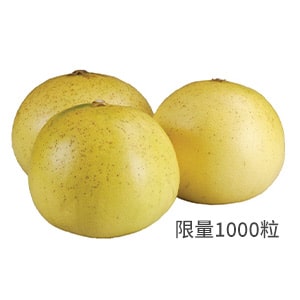 文洲伯大白柚1KG/粒