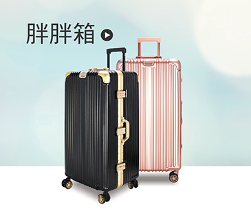 胖胖箱
