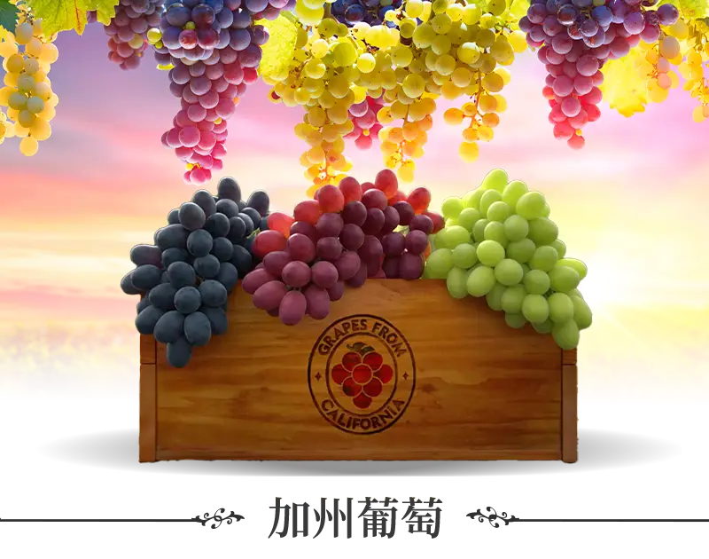 美國加州葡萄