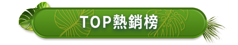 TOP熱銷榜單