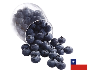 智利藍莓(每盒約125克)