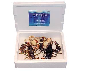 [雙北]活體海鮮_波士頓龍蝦及牛奶海貝