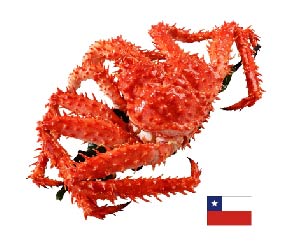 智利熟凍帝王蟹(每隻約1.8-2公斤)
