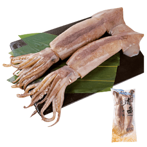 冷凍巨無霸魷魚