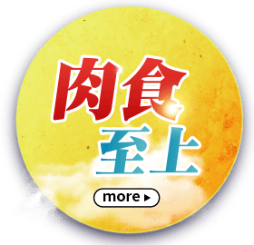肉食至上