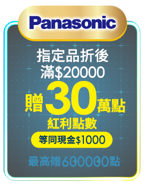 Panasonic