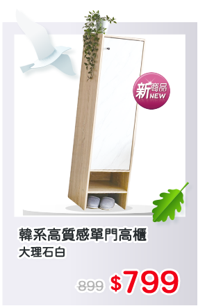 韓系高質感單門高櫃