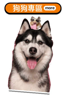 狗狗專區