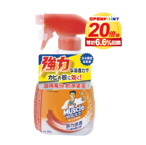 威猛先生強力去霉劑噴槍+重裝(400克+400克)