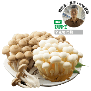 家樂福有機雙響菇 每盒約150克