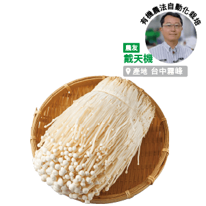 有機金針菇(森甜金菇) 每包約333克