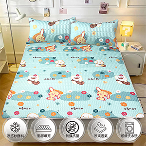 【多利寶寢具】INDIAN 可水洗三件式乳膠涼墊枕套-雙人