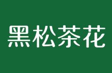 黑松茶花