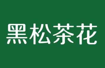 黑松茶花