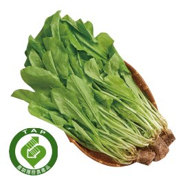 履歷水耕A菜250g