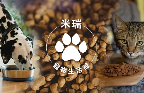 登寵