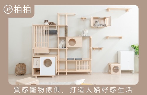 拍拍國際