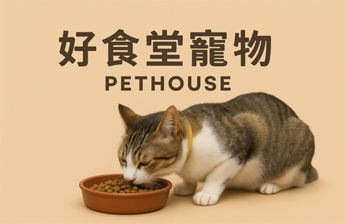 好食堂