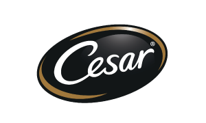Cesar 西莎