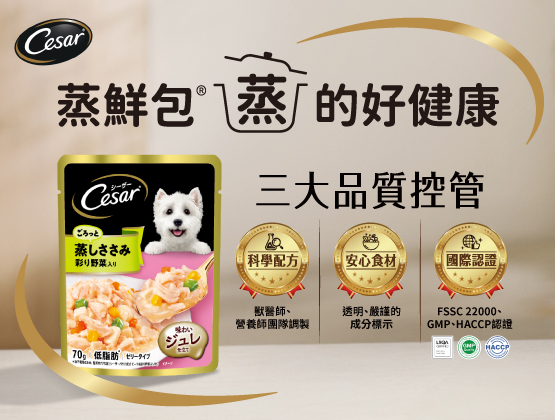 Cesar 西莎