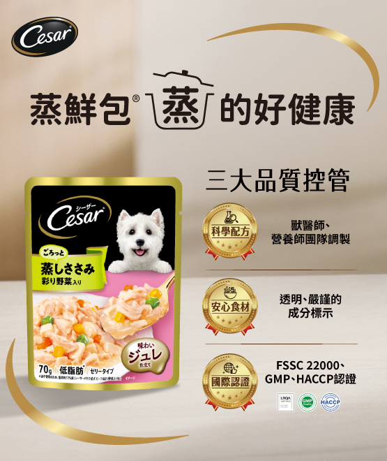 Cesar 西莎