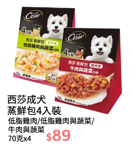 西莎