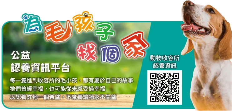 為毛孩子找個家