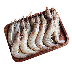 冷凍白蝦40-50