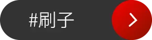 刷子