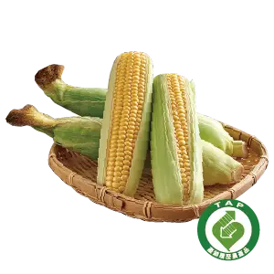 履歷玉米