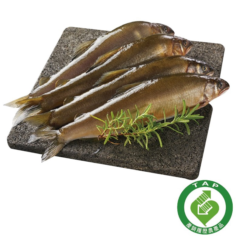 鹽漬鮭魚片